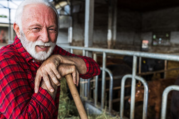 Canvas Print - Farmer in front of cows on farm