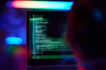 Seen from behind business woman coding