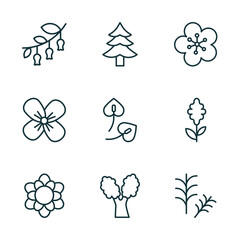 Wall Mural - set of 9 linear icons from nature concept. outline icons such as hawthorn, cedar, orchid, magnolia, eastern cottonwood tree, rosemary vector