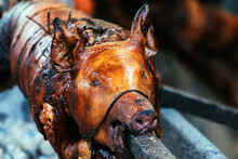 Whole Pig Spit Roasted On Traditional Festival In Serbia