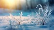 Epic Photography Shot of Winter Background with Natural Lighting. Generative Ai