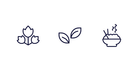 Wall Mural - set of food thin line icons. food outline icons included raspberry leaf, leaf, dandan noodles vector.