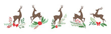 Young Brown Deer With Antlers And Winter Twigs Vector Set