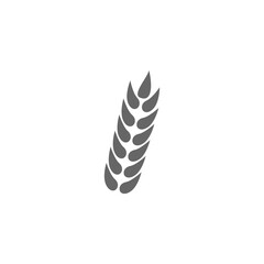 Poster - Rice, wheat, corn, oats, rye, barley icon isolated on transparent background