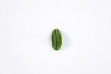 Fototapeta Mapy - One green leaf of a tropical tree isolated on white background.