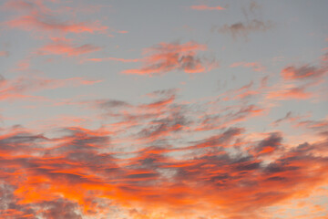 Wall Mural - The sunrise and textured altocumulus clouds with shadows and red light in the morning.