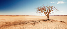 A Desolate Desert Landscape Featuring A Dead Tree Standing Tall Against The Barren Backdrop, Symbolizing The Arid Conditions.