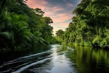 Canal In The National Park Of Tortuguero