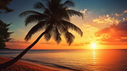 Wall Mural - Gentle evening glow on a tropical beach with palm trees
