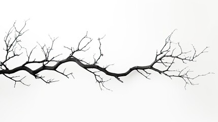 white background with branch silhouette