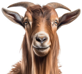 Goat with transparency. Generative AI 5