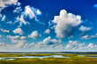 Flat marsh landscape with salt marshes in front of the tideland under a sunny sky with cumulus clouds, made with generative ai
