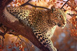 A leopard on a tree branch