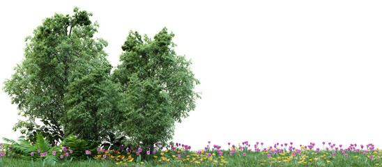 Wall Mural - Group of tree isolated on transparent background 3d rendering png
