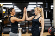 © Dusan Petkovic - Teamwork. Two sporty female friends are giving high five at the gym to each other.