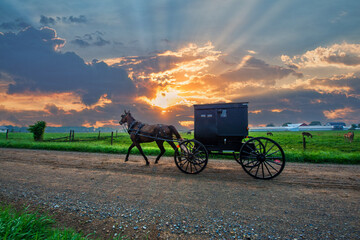 Wall Mural - Amish horse and buggy at sunup with sun in the clouds creating sunbeams.