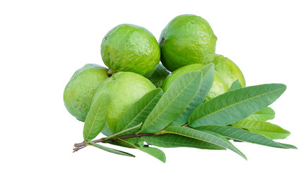 Pile of natural organic guava under the natural light.