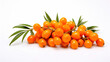 Sea buckthorn isolated on a white background.