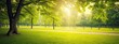 Beautiful warm summer widescreen natural landscape of park with a glade of fresh grass lit by sun