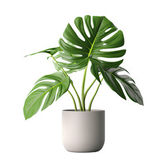 Sticker - Monstera deliciosa leaf plant in a gray pot with a neat appearance.