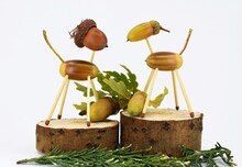 Cute Animal Figurines Made Of Acorns, Standing On Wooden Cut Platforms With Oak Branch, White Background