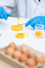 Wall Mural - Scientist testing gmo egg for quality control of eggs in chemical laboratory, Food science expert inspecting a dairy product, Agriculture farm production industry, biotechnology medicine research