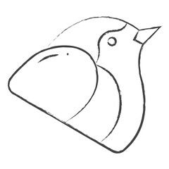 Wall Mural - Hand drawn Robin bird illustration icon