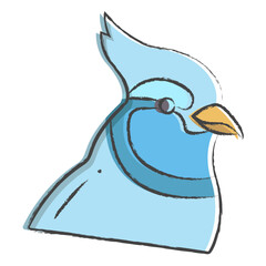 Wall Mural - Hand drawn Blue Jay bird illustration icon