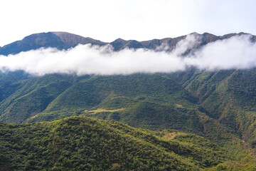 CLOUDS OVER A MOUNTAIN FULL OF TREES. YUNGAS OF JUJUY, ARGENTINA.