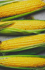 Wall Mural - Fresh corn cobs with leaves on gray linen background, top view