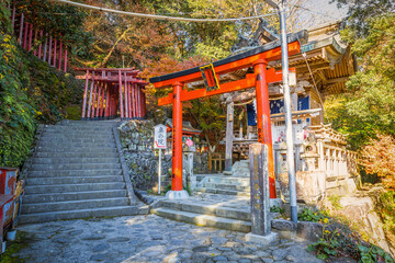 Wall Mural - Saga, Japan - Nov 28 2022: Yutoku Inari shrine in Kashima City, Saga Prefecture. It's one of Japan's top three shrines dedicated to Inari alongside Fushimi Inari in Kyoto and Toyokawa Inari in Aichi