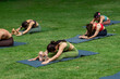 © Sirirat Makprasert - Yoga group people training and warrior pose attending yoga outside at park in sunset; group of asian young women yoga exercising training in serene ocean; select focus.