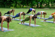 © Sirirat Makprasert - Yoga group people training and warrior pose attending yoga outside at park in sunset; group of asian young women yoga exercising training in serene ocean; select focus.