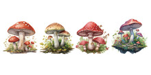 Watercolor Mushroom Clipart For Graphic Resources