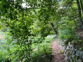 Wall Mural - Walking and hiking trails in the forest park Jankovac or Count's educational trail in Jankovac - Papuk nature park, Croatia (Grofova poučna staza na Jankovcu - Park prirode Papuk, Hrvatska)