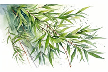 Delicate Watercolor Green Bamboo Leaves With Intricate Details On A White Background, Leaves Watercolor, 