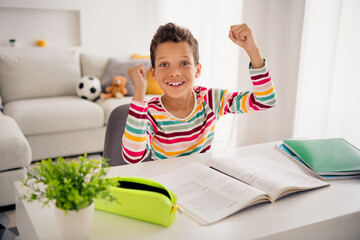 Sticker - Photo of clever excited school kid boy pass exam get a grade mark raise fists up in class room indoors