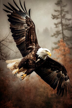 Majestic Bald Eagles Fly High In The Sky. Generative AI.