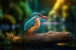 © kardaska - Kingfisher is relaxing on the rock.