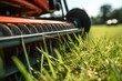 close-up of lawn mower blades grass