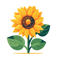 Sticker - Sunflower flower. Sunflower flower image isolated. Cute sunflower drawing