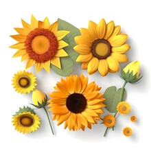 Sunlit Blooms: A Collection Of Sunflowers And Vibrant Yellow Flowers