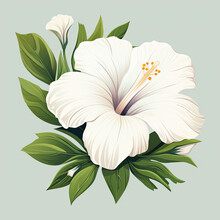 White Flower Illustration On Solid Background
