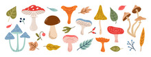 Set Hand Drawn Autumn Different Mushrooms And Plants. Cute Wild Forest Fungus. Autumn Stickers. Flat Design. Vector Illustration.