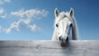 close-up horse peeking out from behind a wooden plank, on a blue background, banner, space for text
