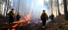 Natural Disaster, Forest Fires In Europe, Greece And America, Heat Wave Leads To Forest Fires And Destruction.