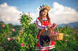 Beautiful girl, young bulgarian woman in ethnic folklore dress enjoying aromatic roses and picking perfumery oil-bearing rose (Rosa Damascena) in Rose Valley of Kazanlak