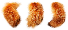Set Of Fox Tails Isolated On Transparent Background - Generative AI