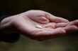 © Connect Images - Hand holding seed