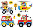 Vector set of funny animals cartoon on vehicles